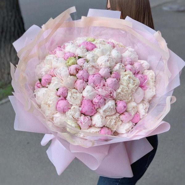 Букет цветов белые и розовые пионы 51 шт