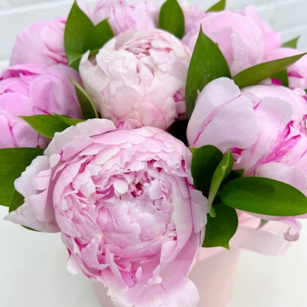 Коробка из 11 розовых пионов Сара Бернар
