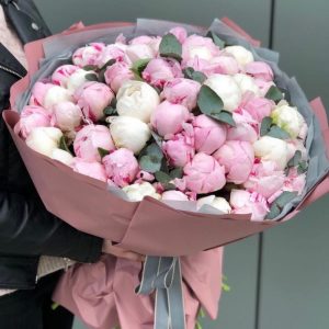 Букет из 51 розового и белого пиона — Пионы