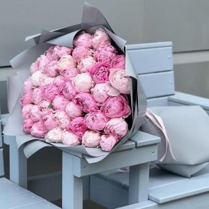 51 розовый пион в дизайнерской упаковке