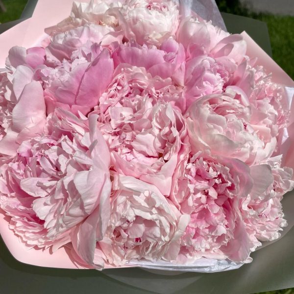 Букет из 17 розовых махровых пионов "Нежность"