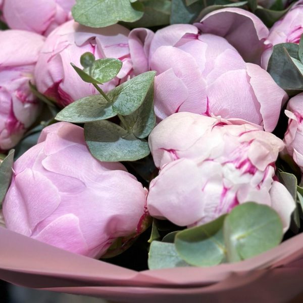 Букет 11 розовых пионов с эвкалиптом "Нежный"