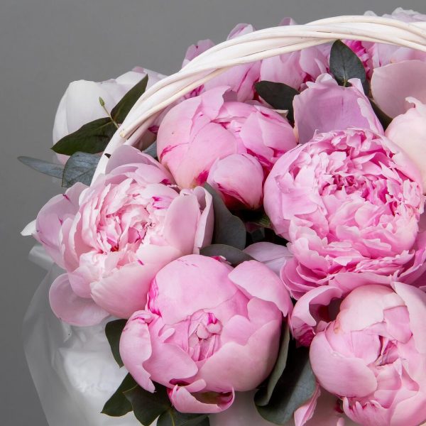 15 розовых пионов Сара Бернар в корзине