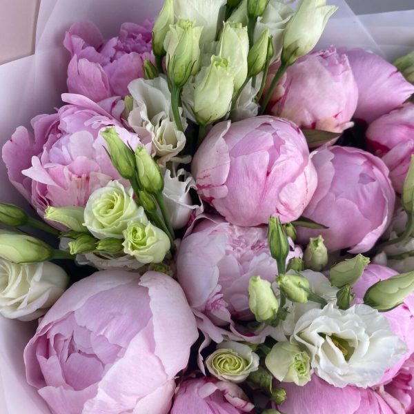 19 розовых пионов с белой эустомой в букете