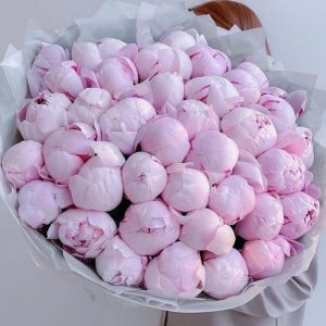 51 розовый пион в упаковке «Нежность» — Пионы