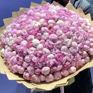Огромный букет с 501 розовым пионом — Пионы